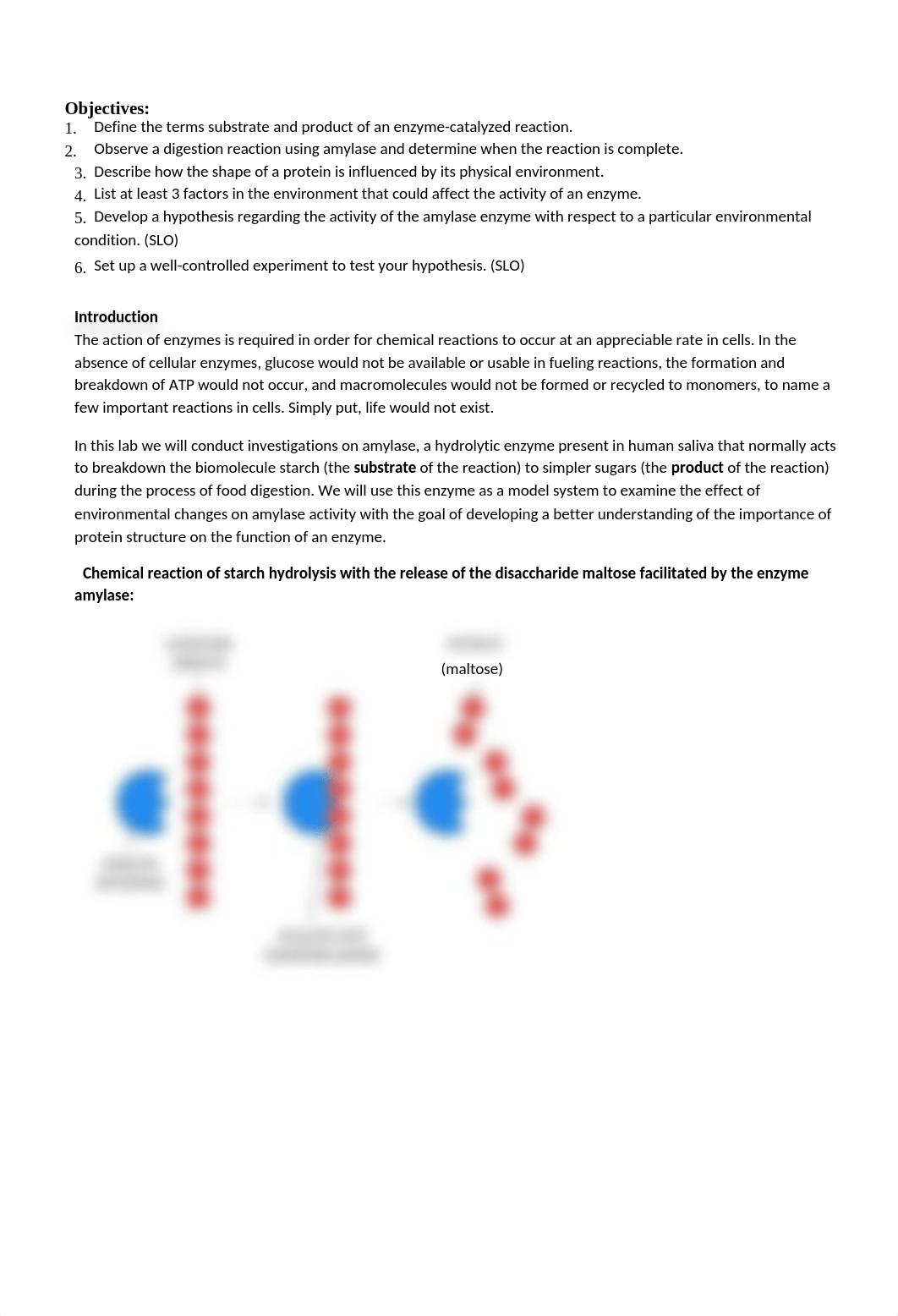 BIO110 Lab_ Enzymes (both parts).docx_drobr9qqy7x_page2