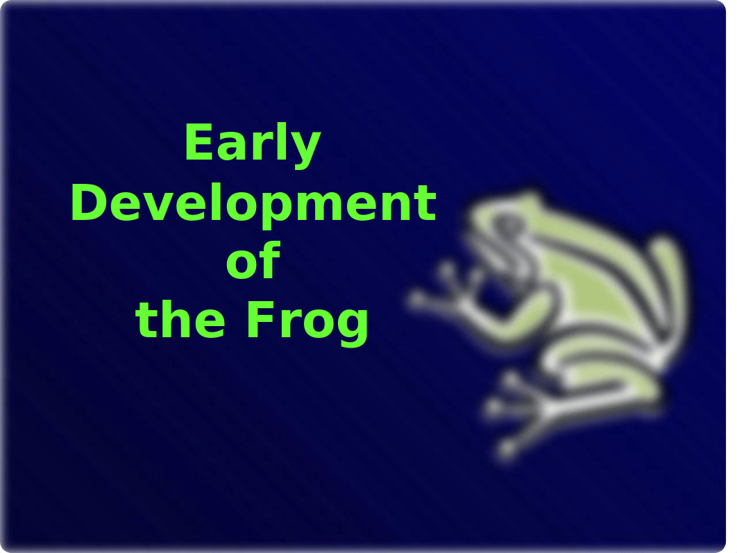 Frog Presentation_drohza3oyum_page1