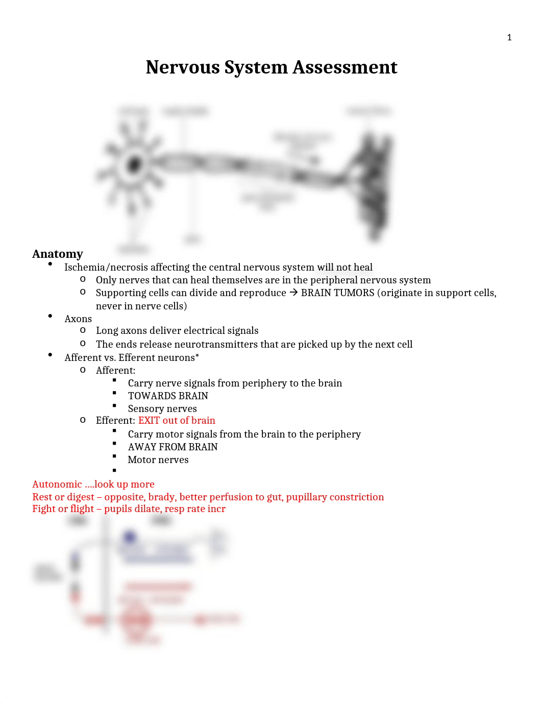 Exam 4 Neuro Notes.docx_drosbra3211_page1