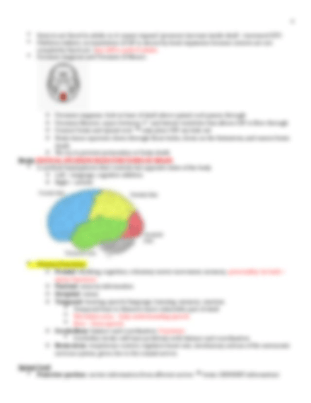 Exam 4 Neuro Notes.docx_drosbra3211_page4