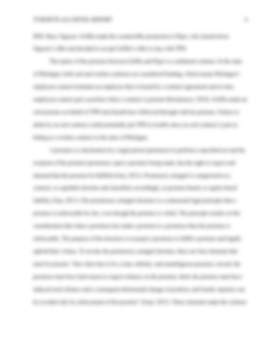 TurnipPlazaReport_10_29_19.docx_drp3mfmkhrp_page4