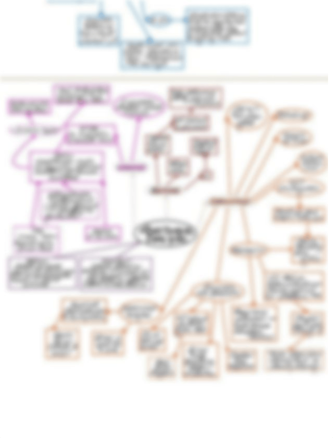 Dialysis Concept Map.pdf_drp3o7vo4f2_page2