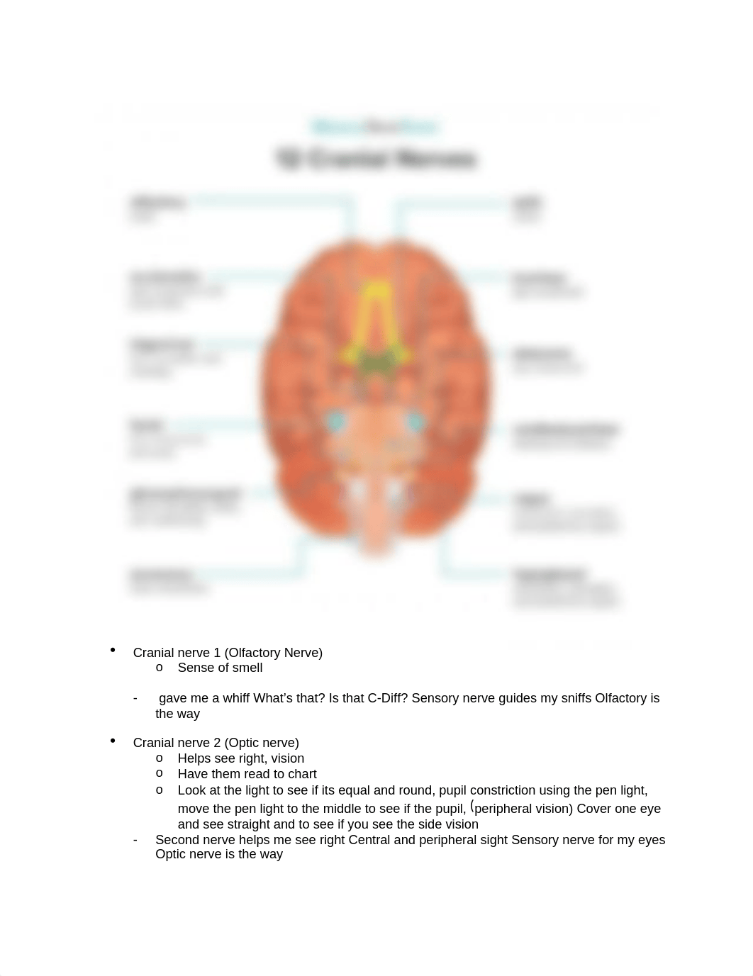 Cranial nerve.docx_drp4swgc3zu_page1