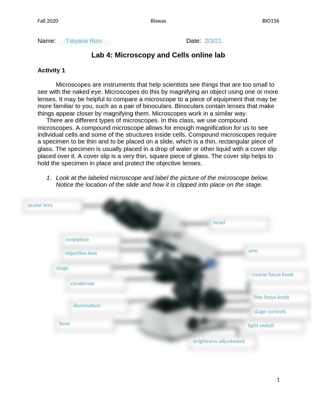 Lab 2 - Microscopy and Cells.docx_drpai0jme25_page1