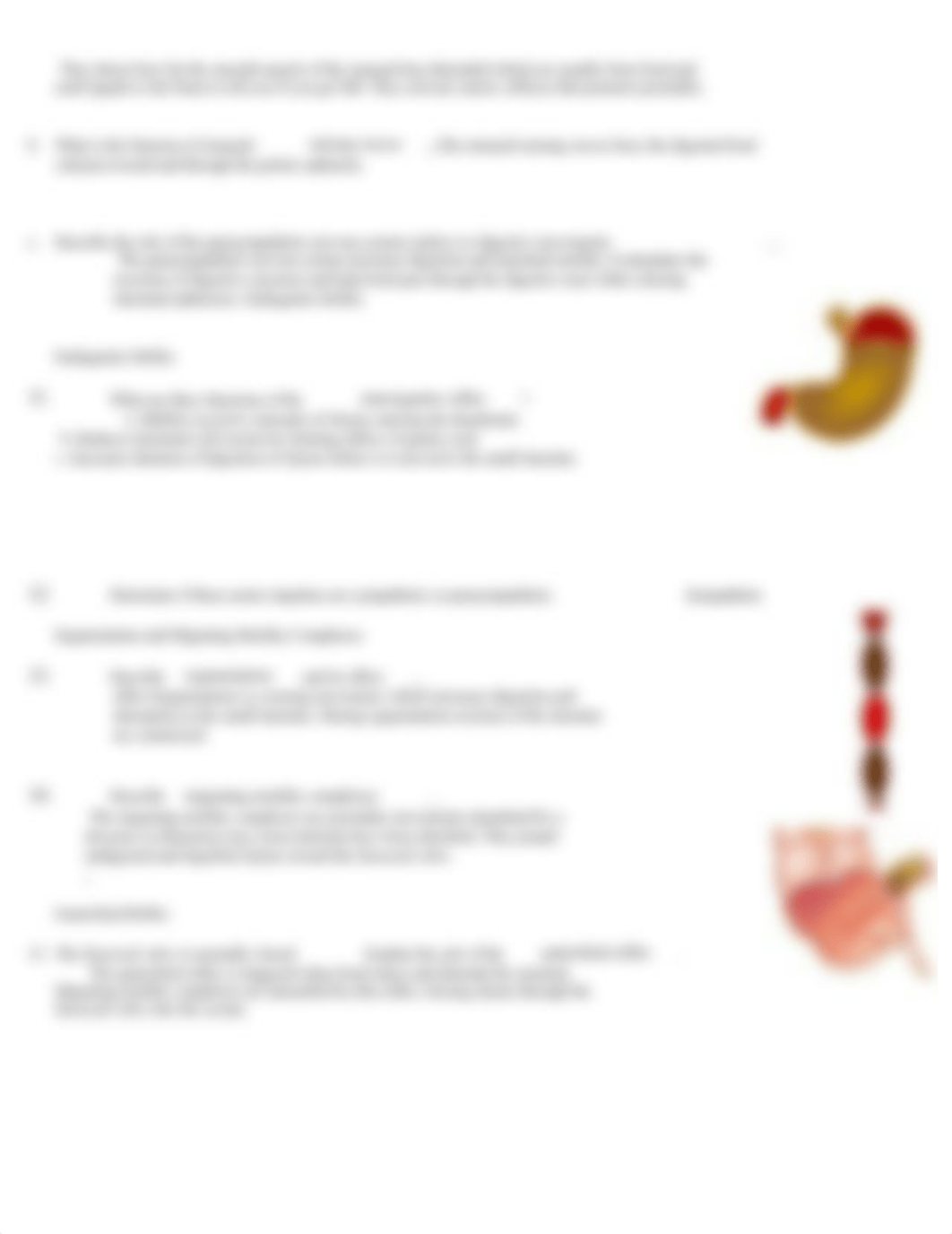 A&P 2 Chapt 24 Mechanical digestion in the GI tract.pdf.docx_drpfagn3dan_page3