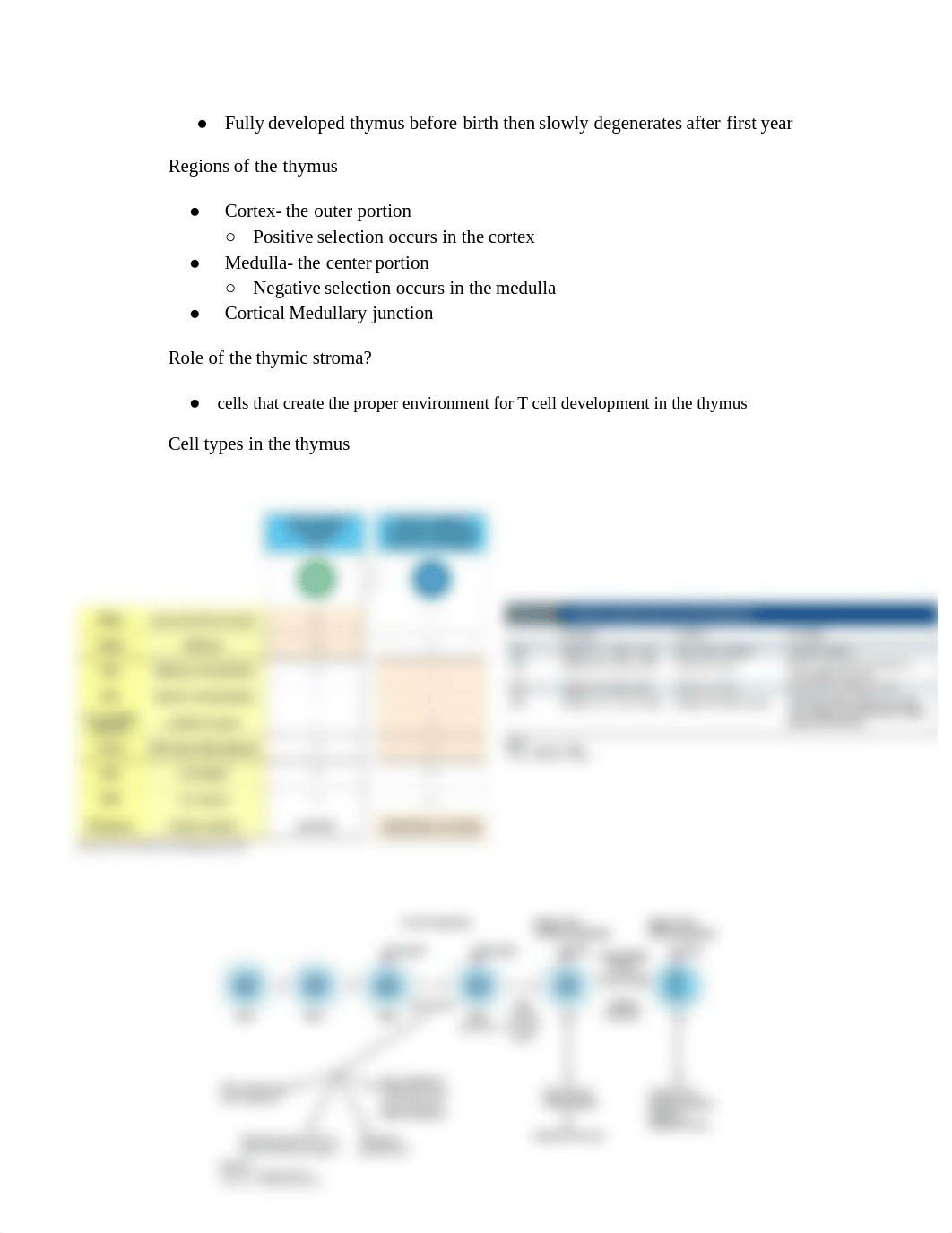 Immunology Review Sheet for Exam 2 - Google Docs.pdf_drplntsh7r4_page2