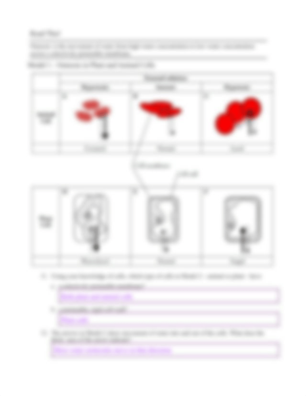 Transport in Cells (V) Key.pdf_drpqdwj9mdf_page3