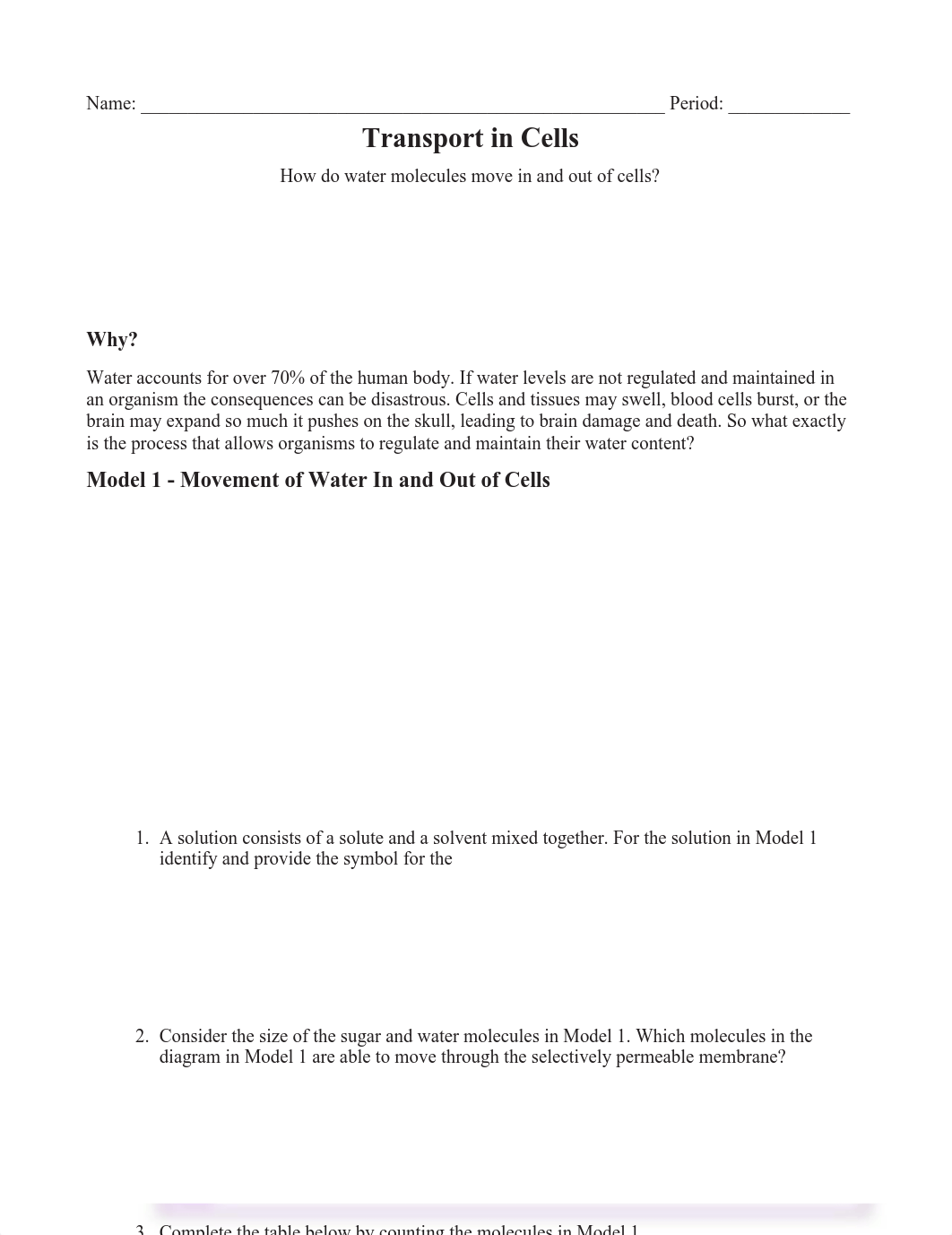 Transport in Cells (V) Key.pdf_drpqdwj9mdf_page1