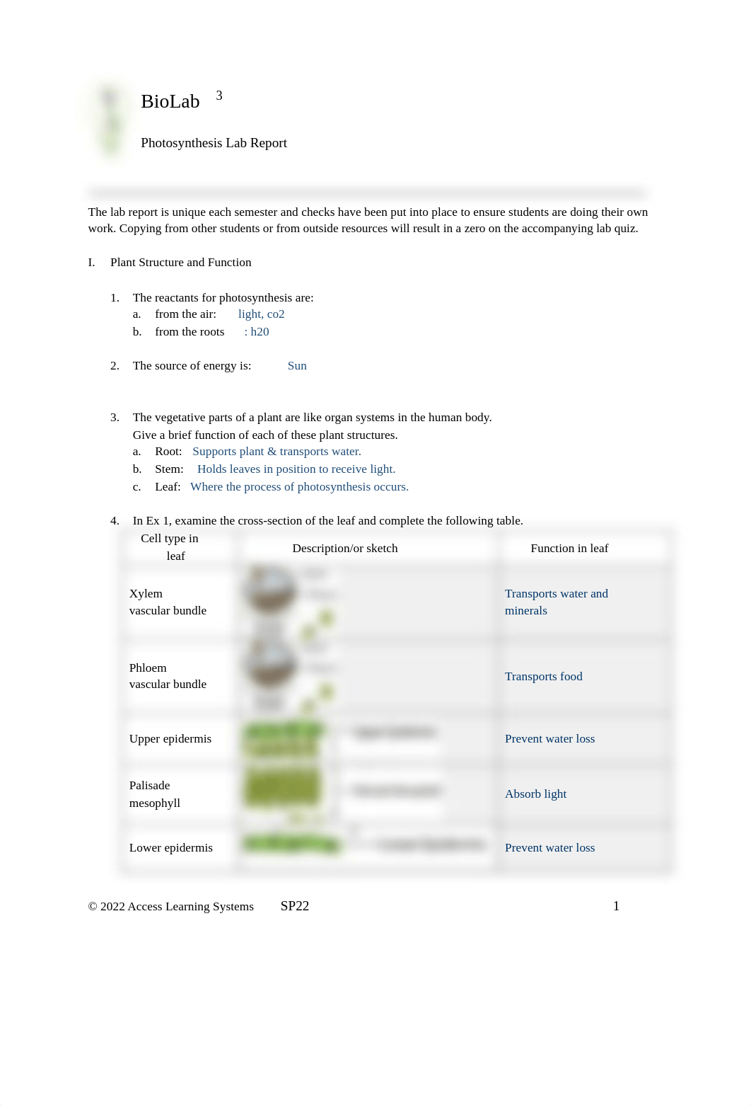 Photosynthesis Lab Report.pdf_drpqwzvol1k_page1