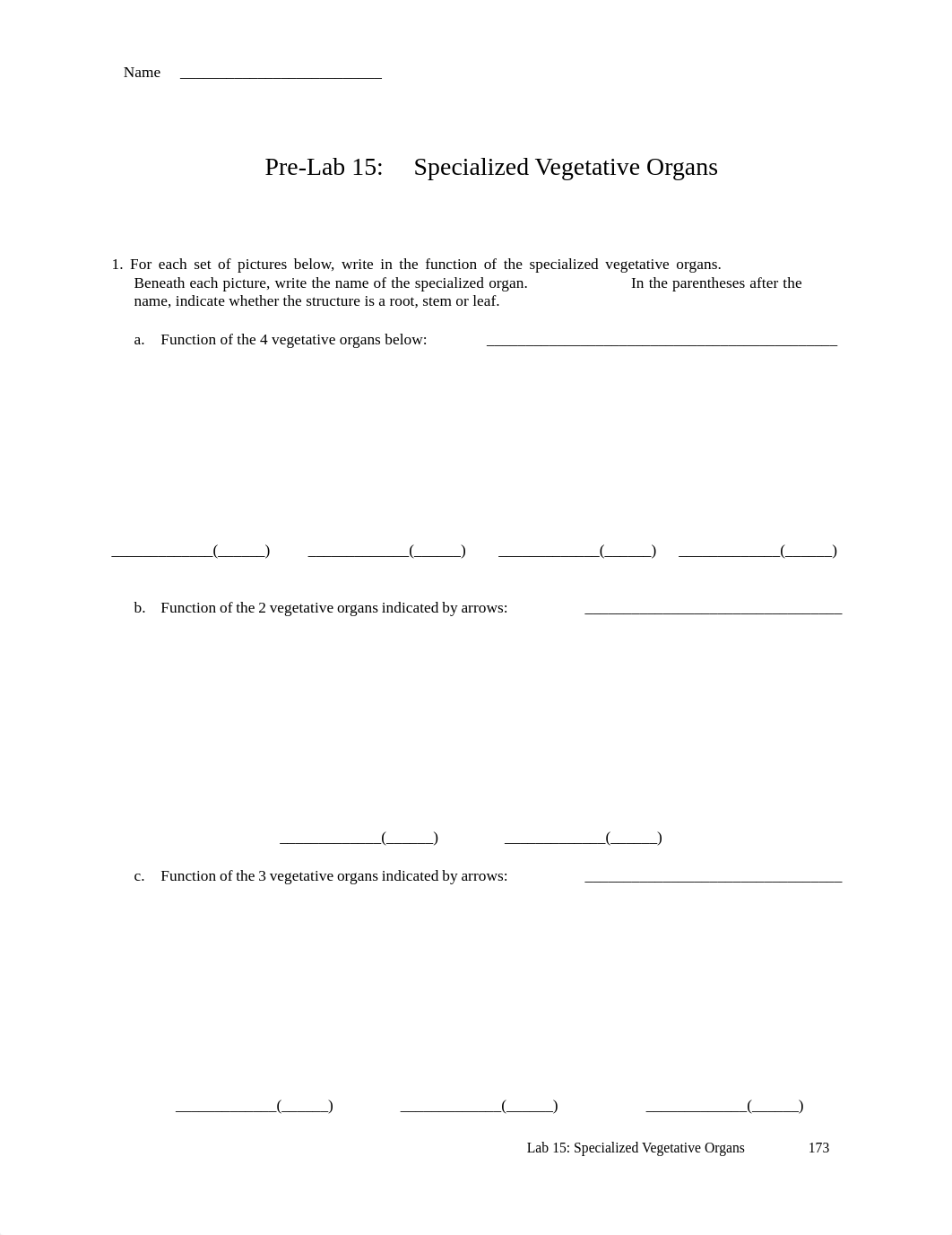 o_Prelab 15 Specialized vegetative organs.pdf_drpsqxa0jgm_page1