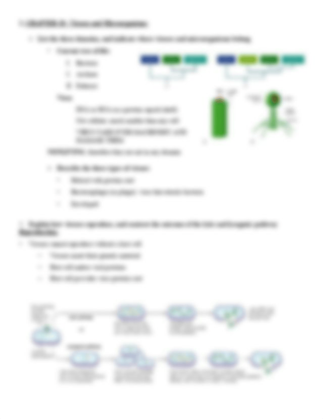 Exam 2 review sheet.pdf_drq4gdsx8oi_page4