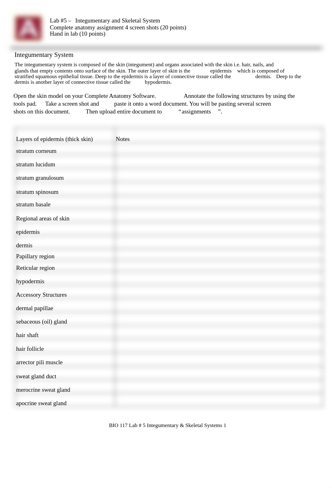 Lab 5 Integumentary System and Bone Tissue.pdf_drq5vhavp4r_page1