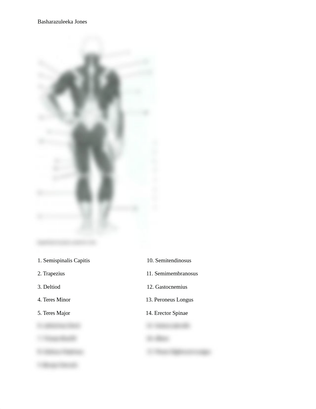 Label Muscles of Posterior View week 3.docx_drq7f7k3t11_page1