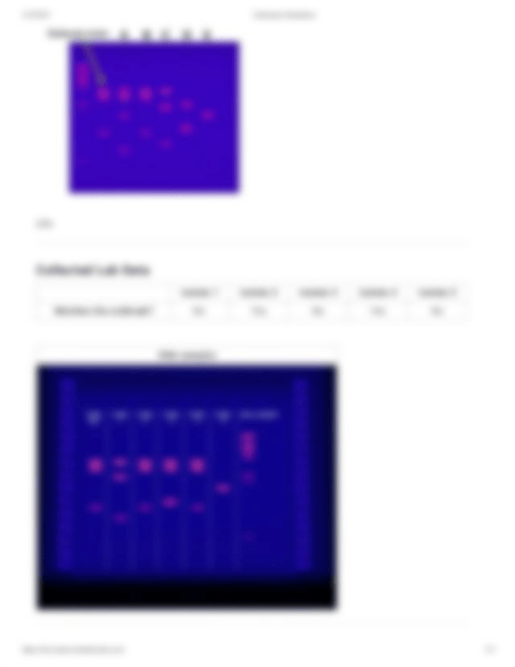 Bacterial Genetics - DNA Profiling.pdf_drqawwbwpp1_page2