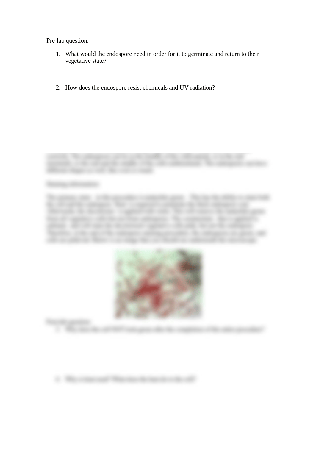 Chapter 7 - Endospore Staining Lab_drqbfjkzy80_page2