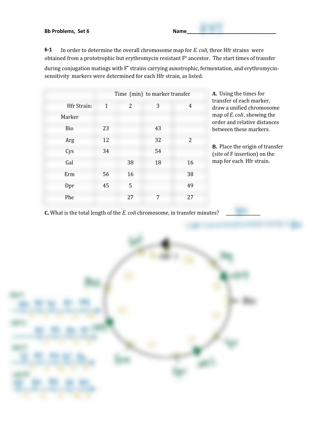 BbSet6_Sp2020-key.pdf_drqbxqbfcj4_page1