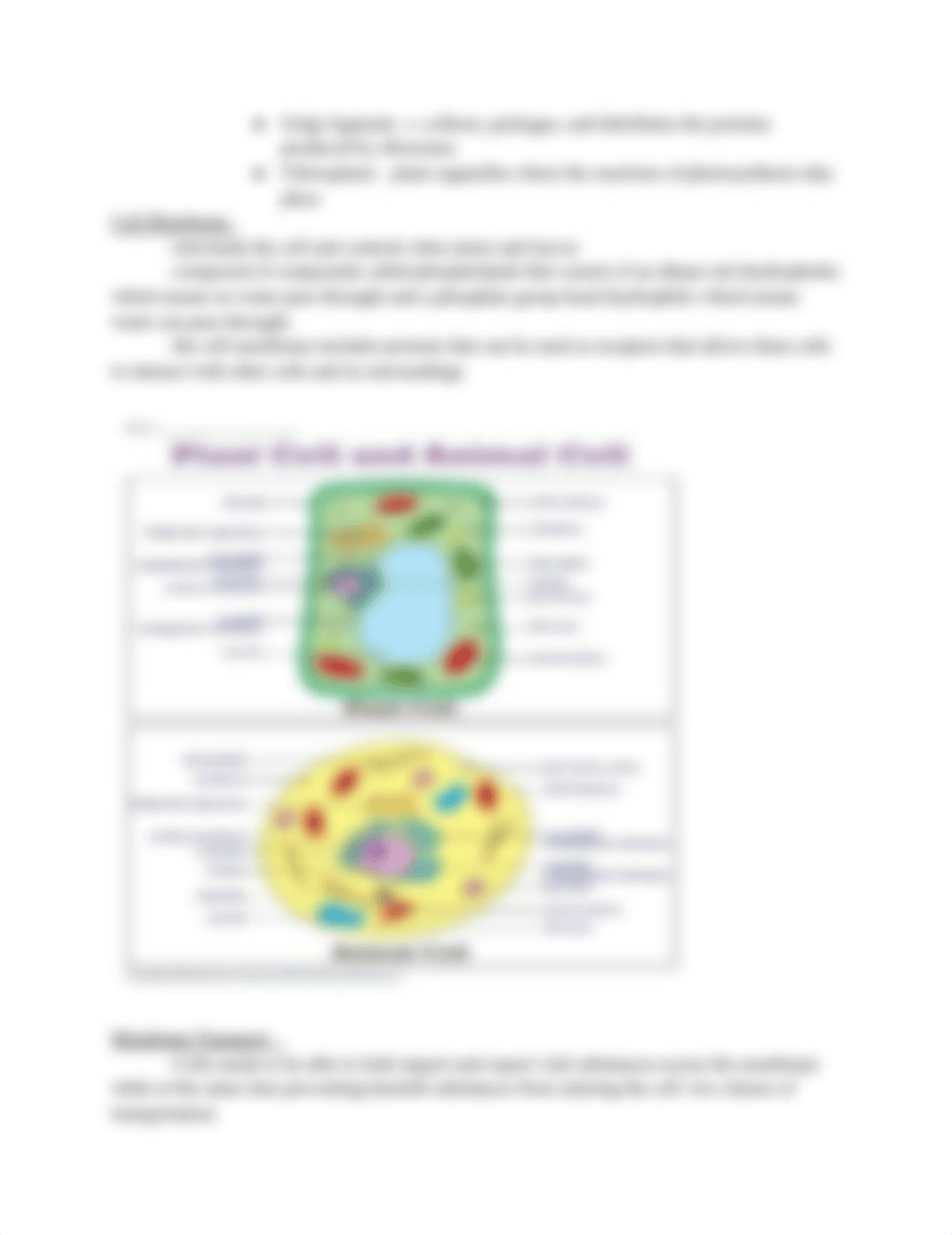 TEAS TEST STUDY GUIDE LIFE SCIENCE.pdf_drqj5mr206v_page3