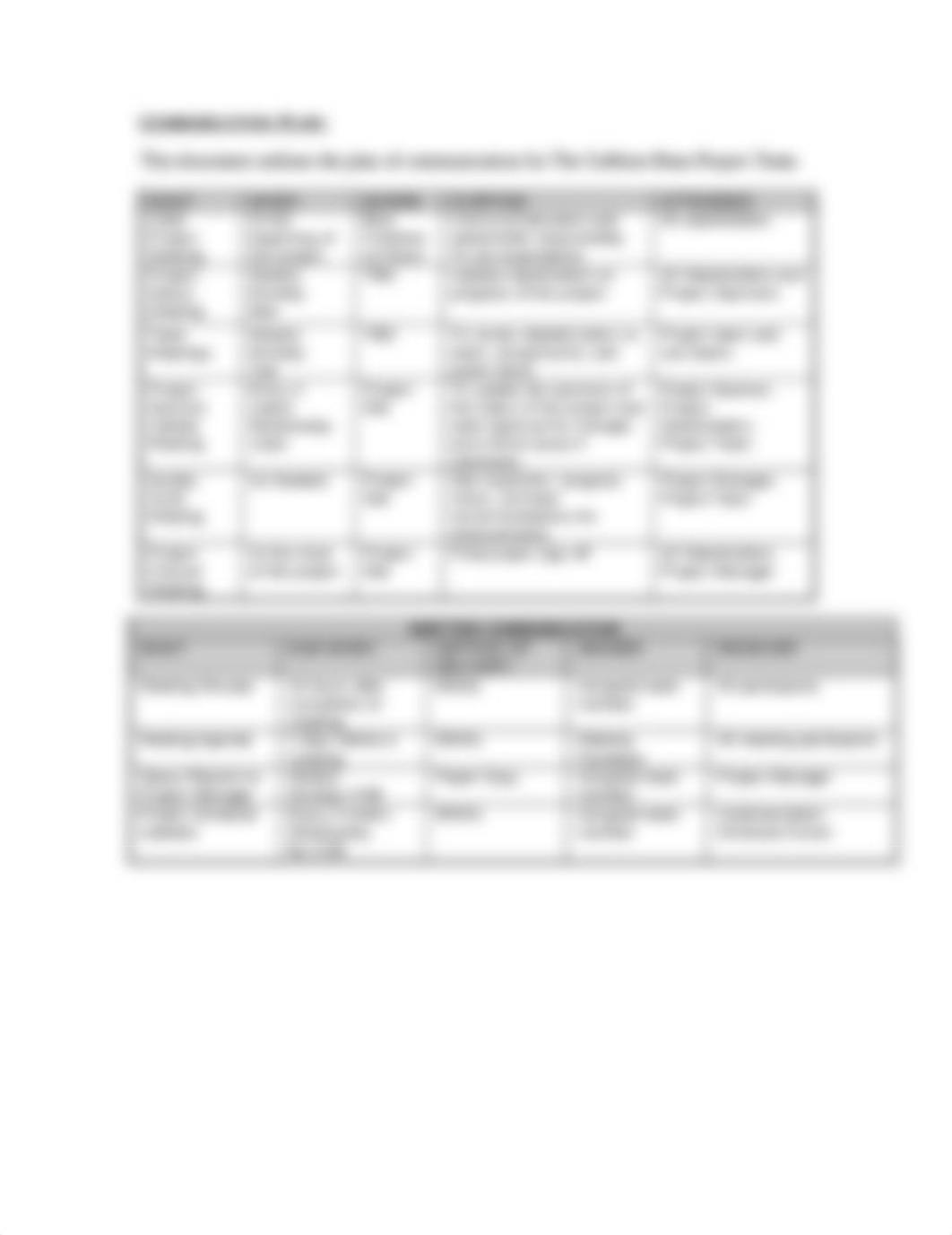 Project_Communication_Plan_v2.docx_drqtt9qnudb_page2