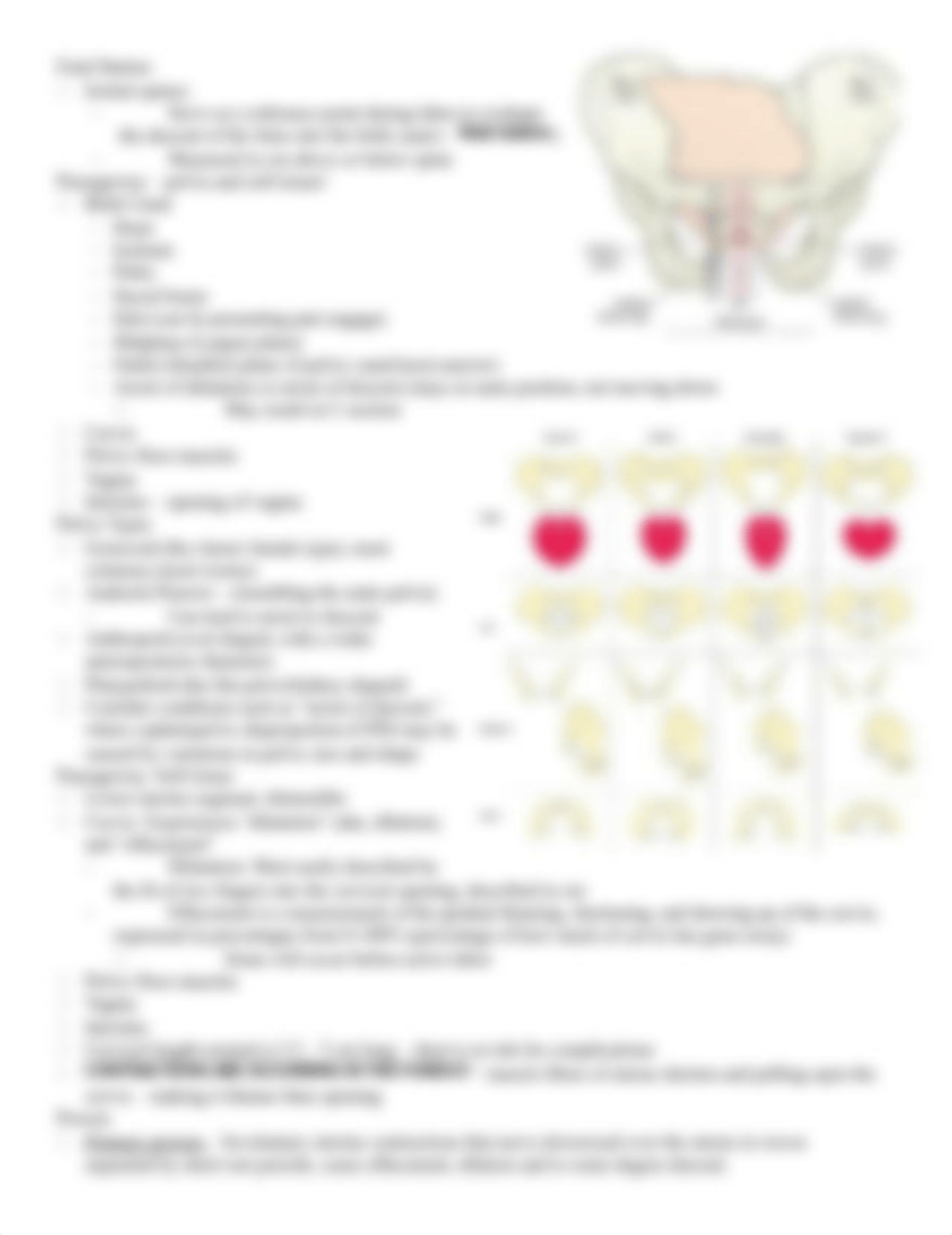 Intrapartum 2.docx_drqtz9ntukl_page4