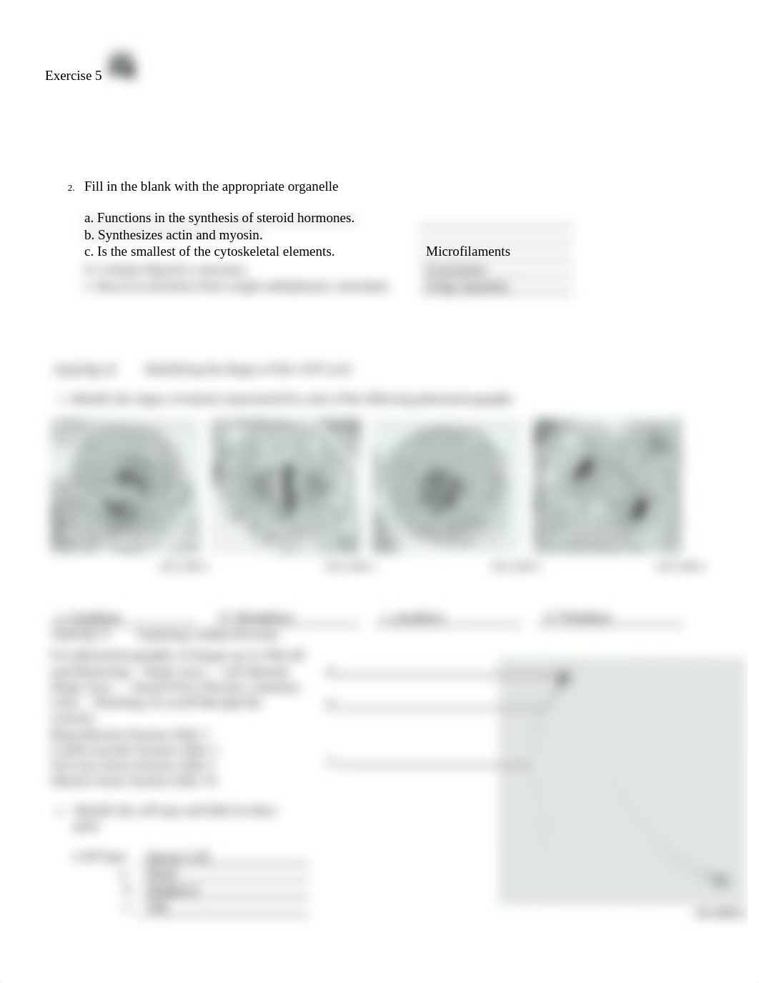 2. Unit 2 laboratory exercise 5 (1).docx_drquiqim1z3_page2