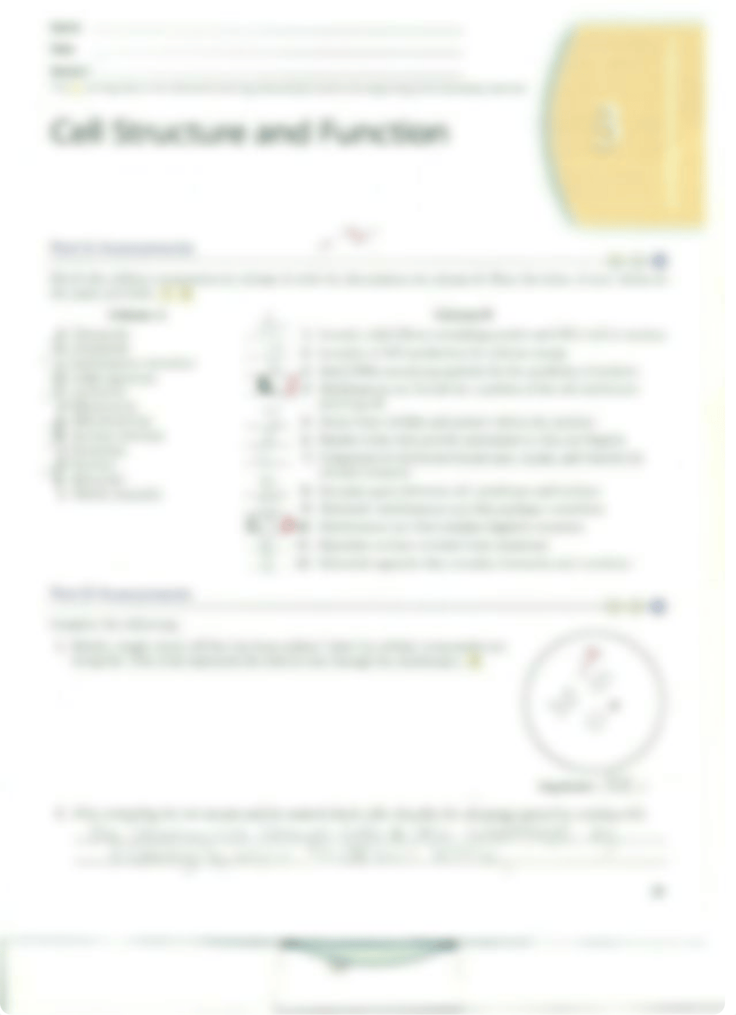 Chapter 3 Cell Structure and Function_drqzvpjrc4w_page5