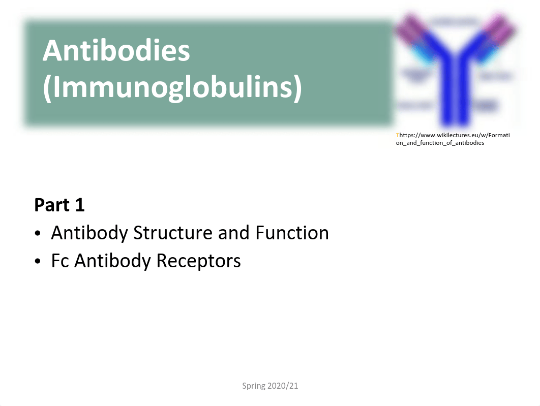 Unit 4-Antibodies-part 1-Structure.pdf_drr27va5vrt_page1