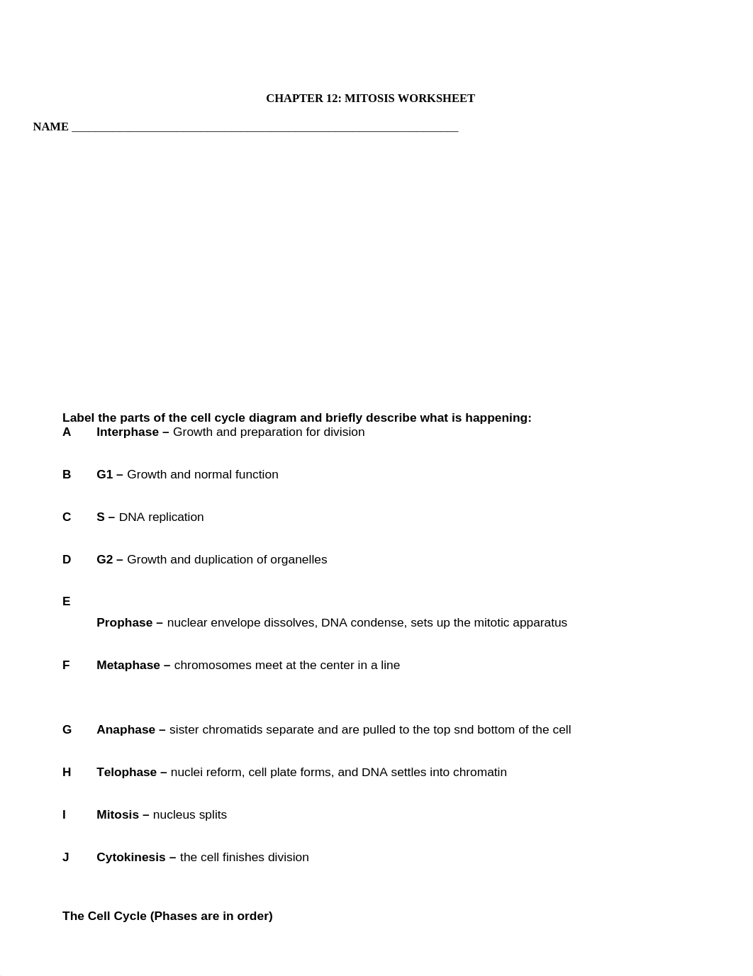 CHAPTER 12 - Mitosis Worksheet.docx_drr8d7qtjhk_page1