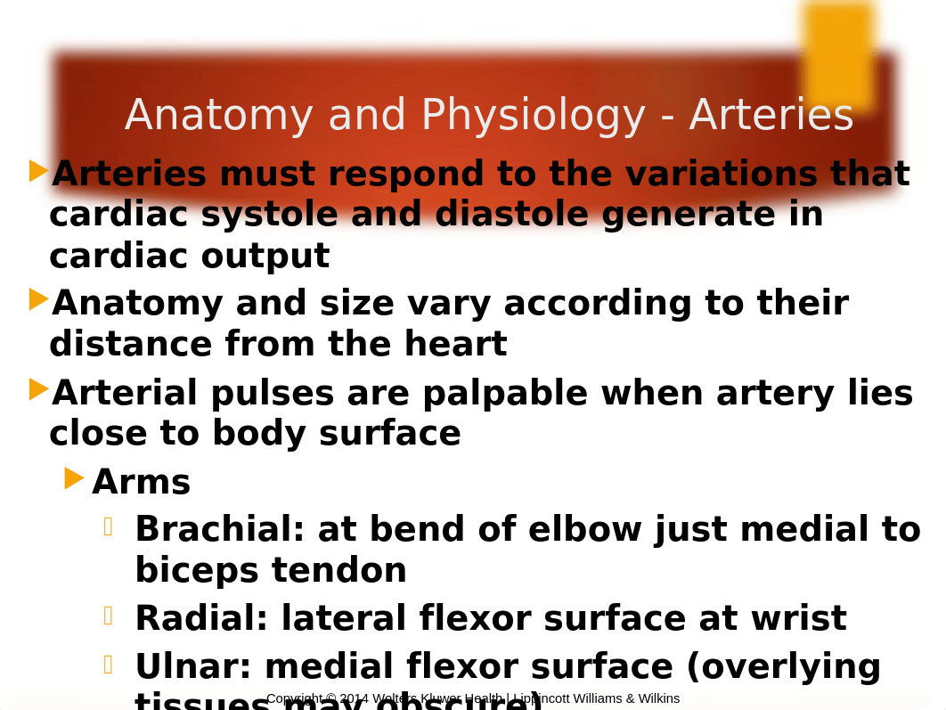 STUDENTCh. 12 Peripheral Vascular System Fall2018Conder.pptx_drr8hs13b2n_page2