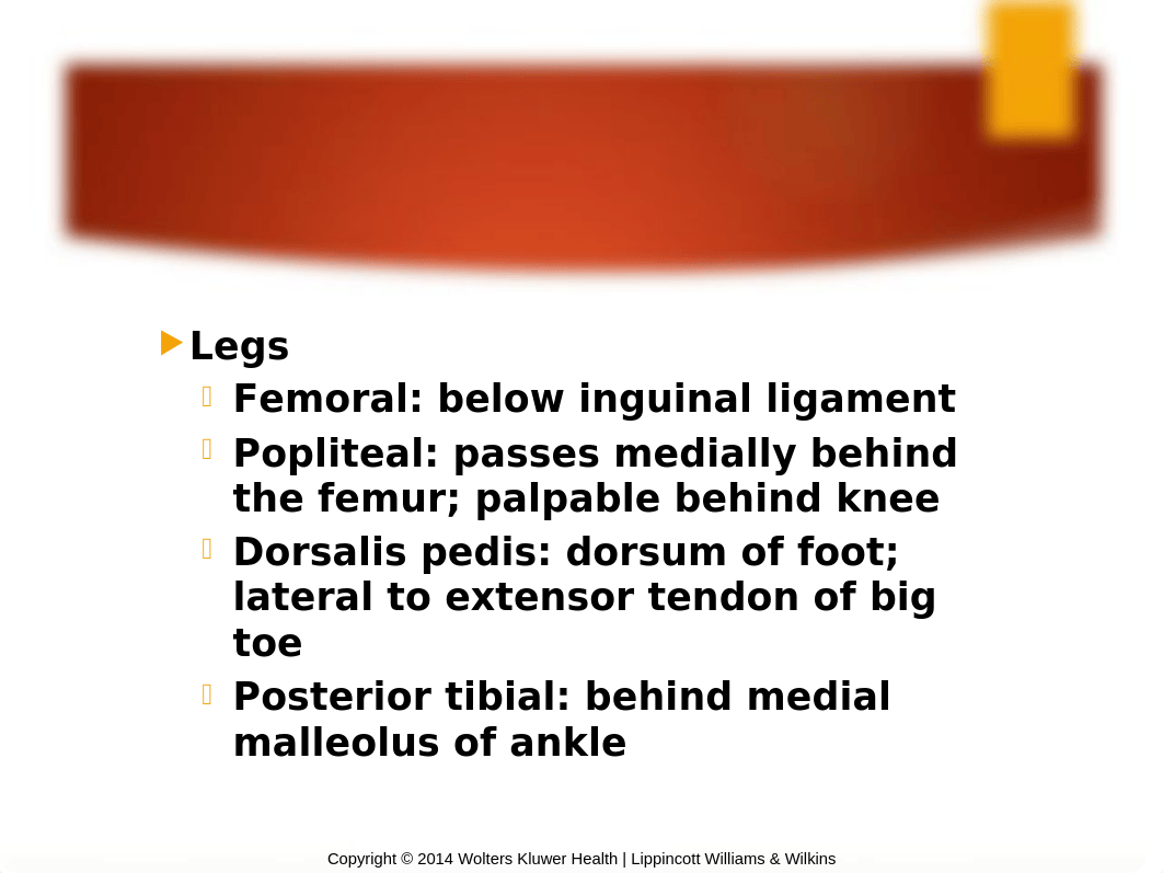 STUDENTCh. 12 Peripheral Vascular System Fall2018Conder.pptx_drr8hs13b2n_page3