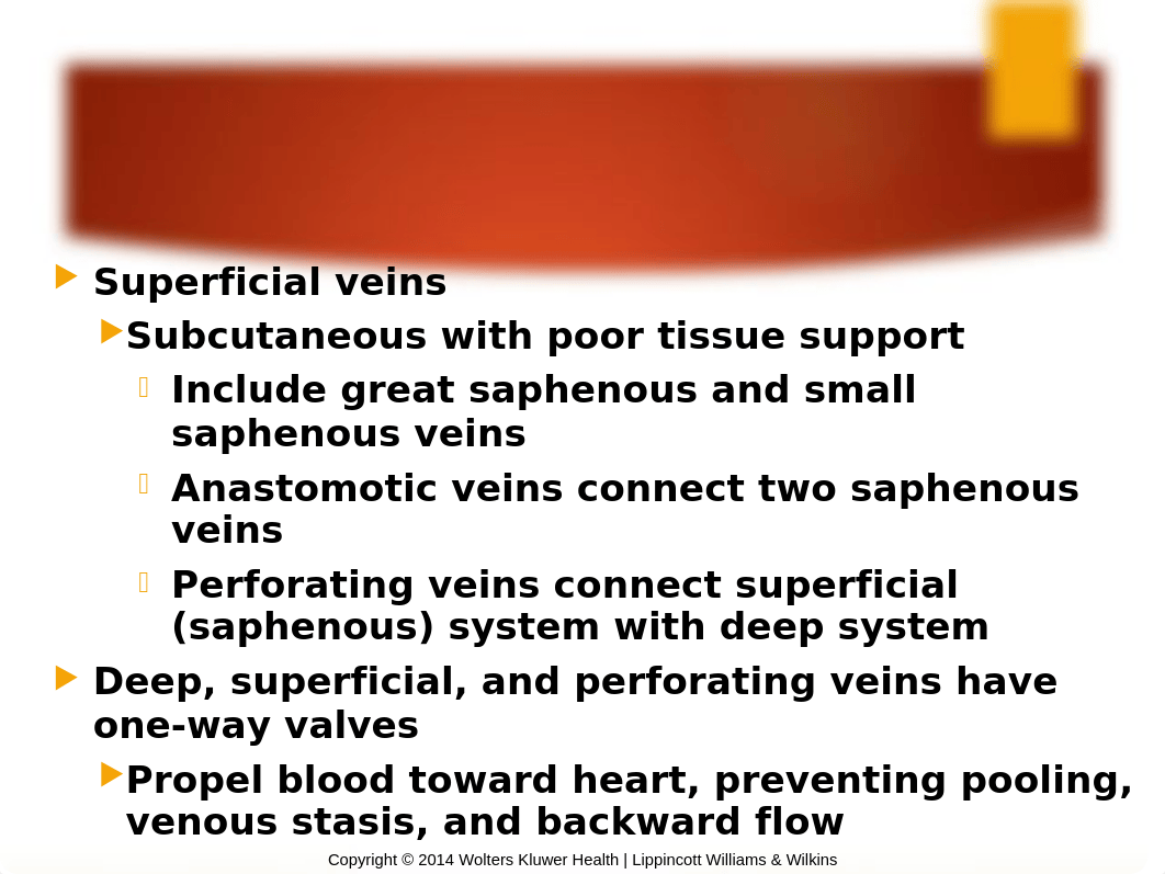 STUDENTCh. 12 Peripheral Vascular System Fall2018Conder.pptx_drr8hs13b2n_page5