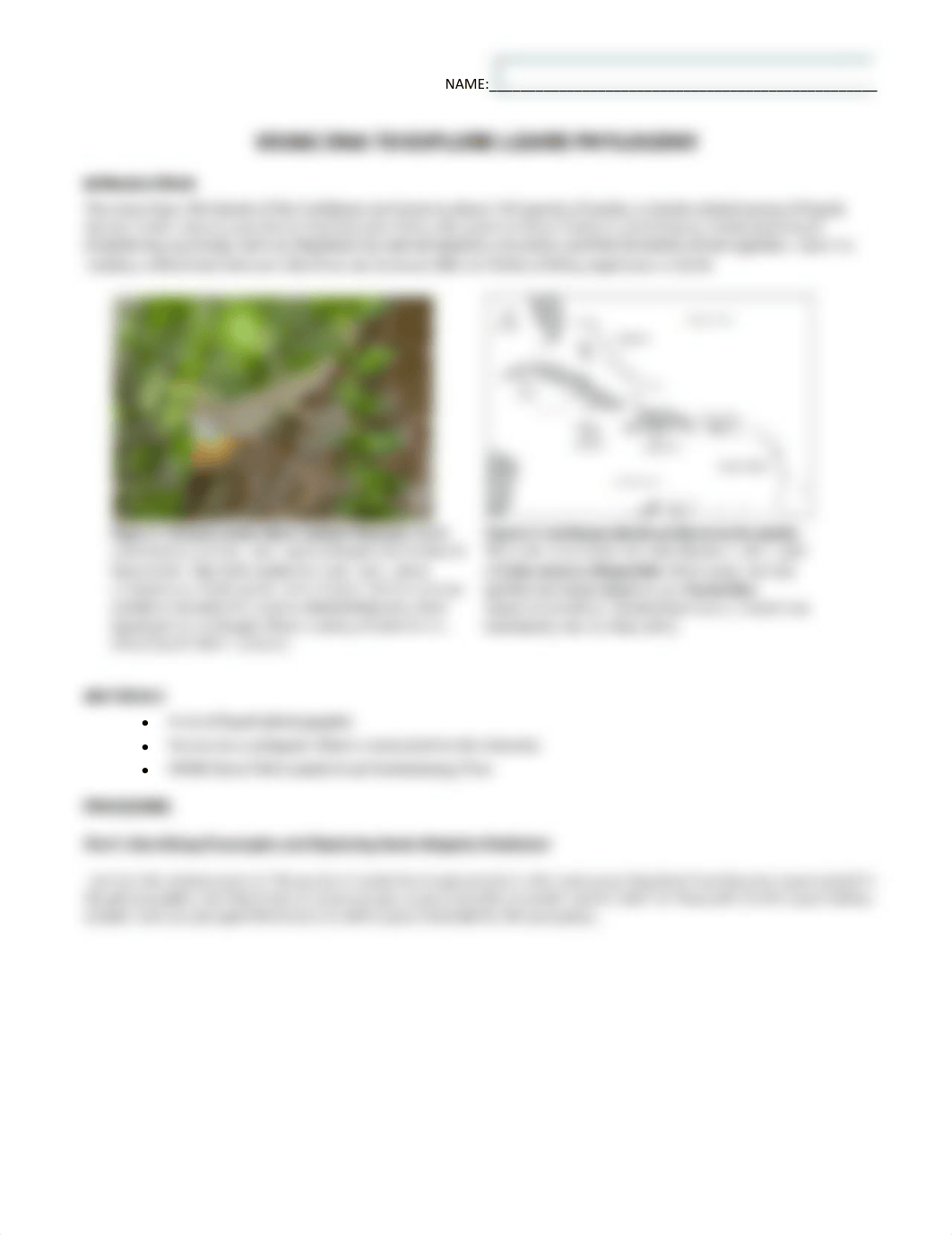 2 - BIOS1410L Phylogenetics Lab - Lizards in an Evolutionary Tree - Student Handout-1.pdf_drrcu86jkpe_page1