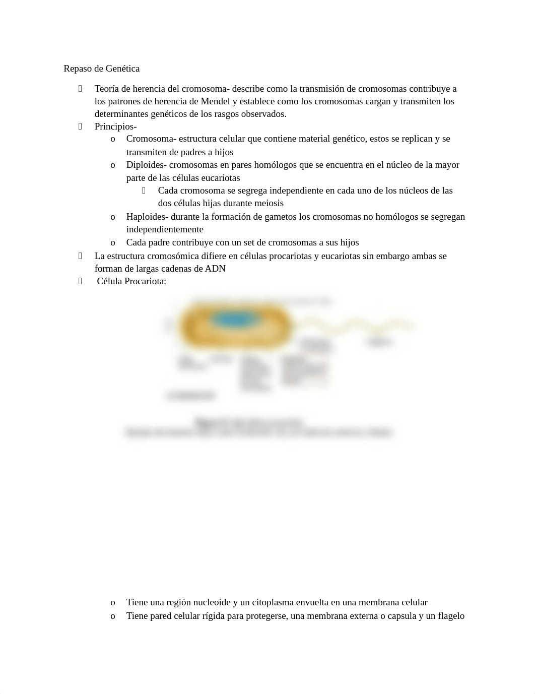 Repaso de Genética 2.docx_drreq12xldz_page1