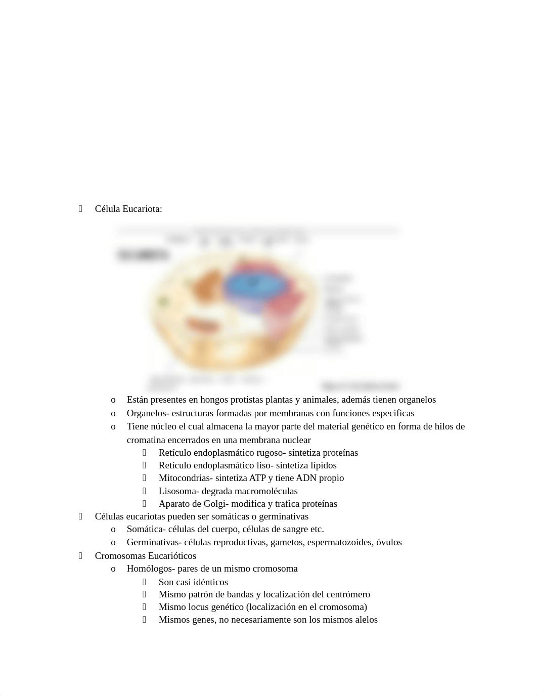 Repaso de Genética 2.docx_drreq12xldz_page2