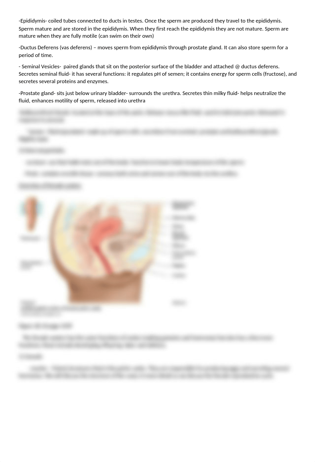 Chapter 26 Reproductive Systems.docx_drrf1c4pqbk_page2