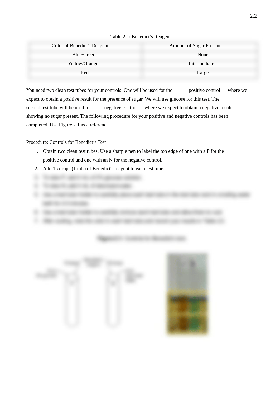 Lab_02 Biomolecules.pdf_drrje7l1ofs_page2