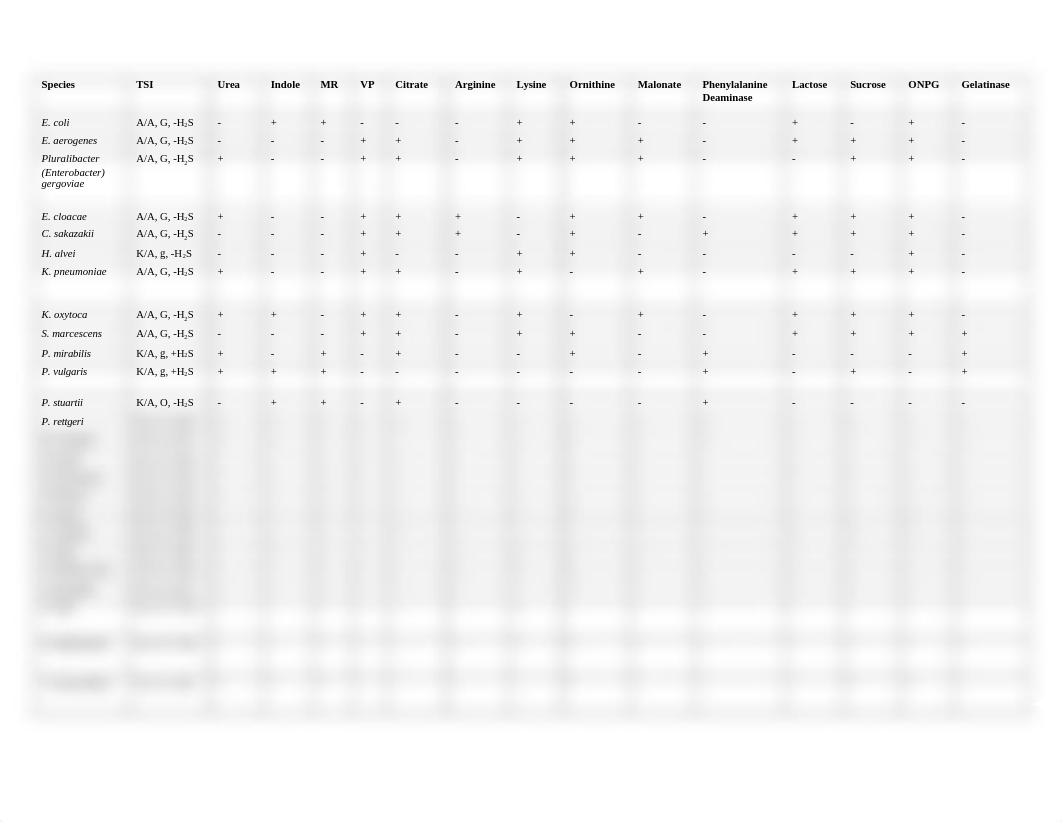 enterobracter_table.docx_drrn9h3mr2u_page1