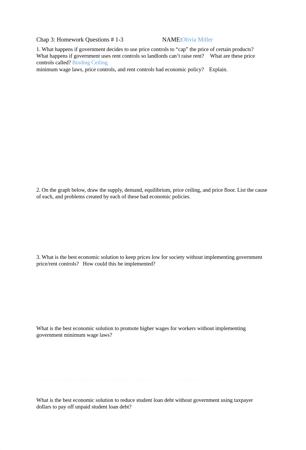 ch. 3 econ.docx_drrqx9g5lx3_page1