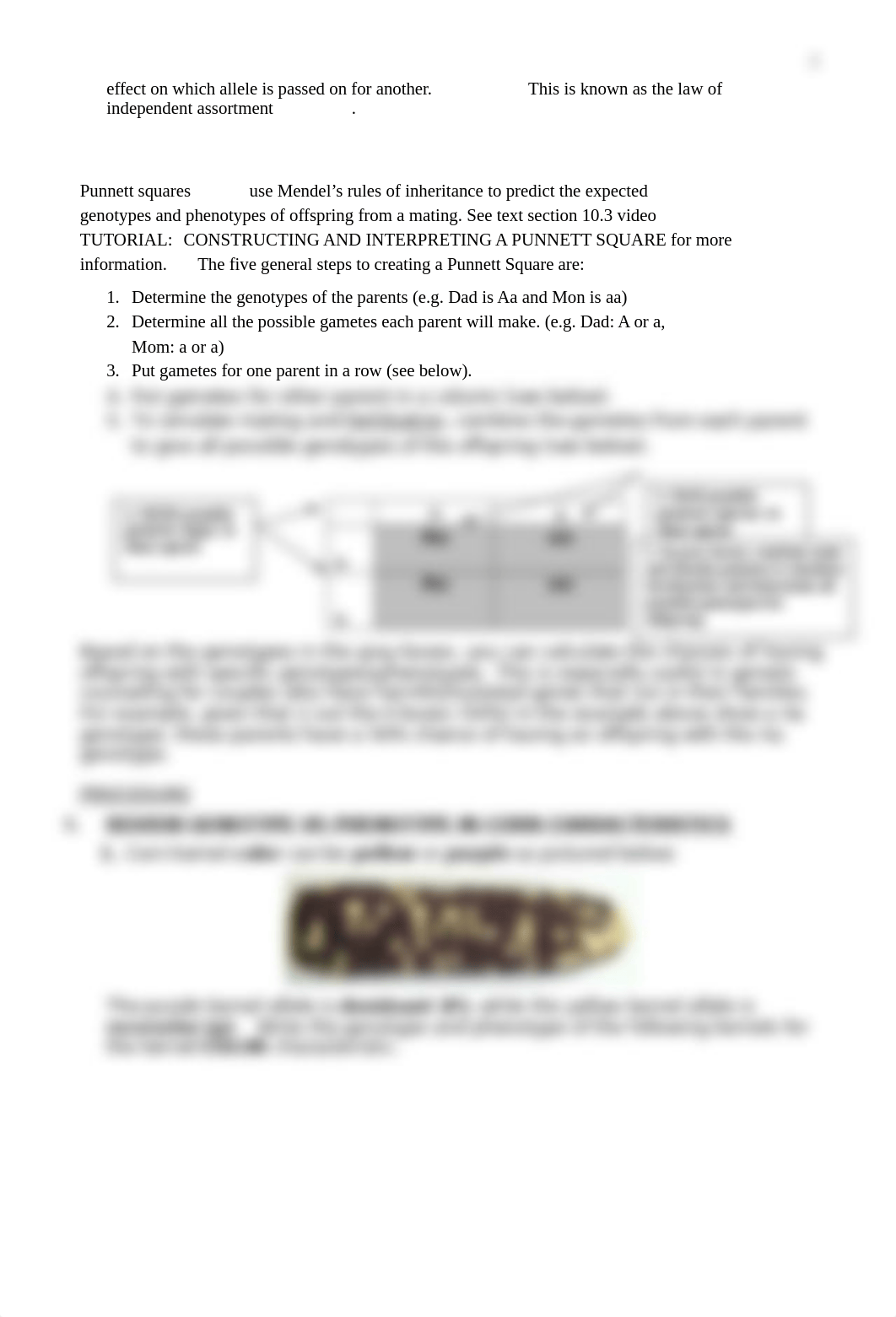 BIOL 1041_INHERITANCE AND PEDIGREES.docx_drruw99d863_page2