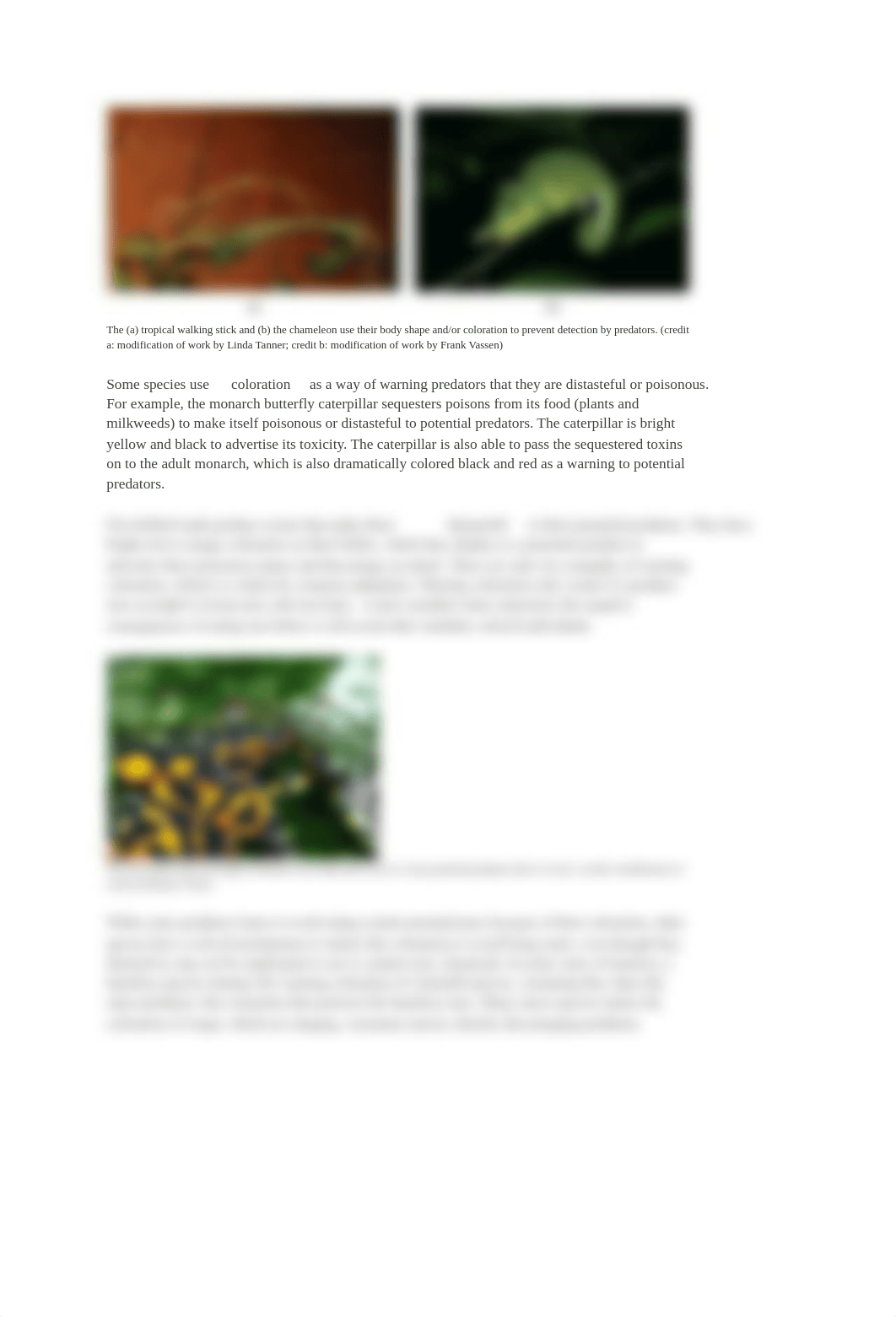 Biology Cogbooks UNIT 4.docx_drrw2w9h2bb_page2