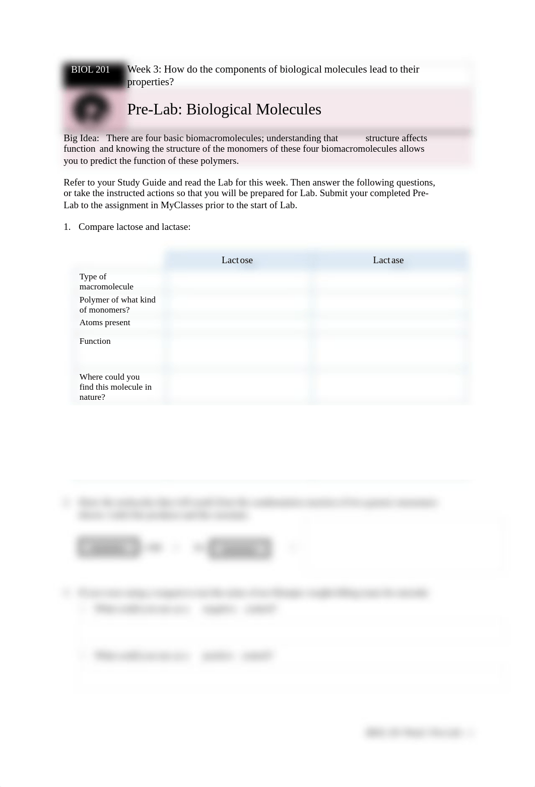 BIOL201 W03 Pre-Lab Biological Molecules .docx_drryn0fpl59_page1