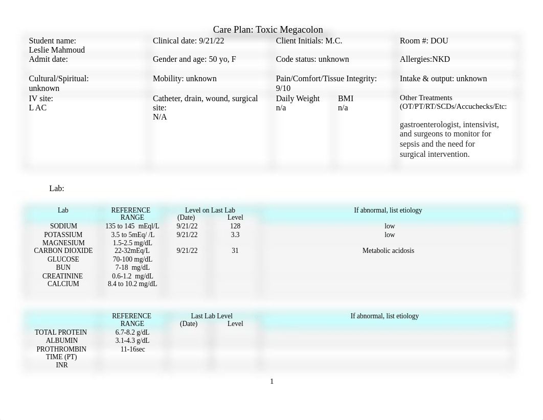 Toxic Megacolon Nursing Care Plan.pdf_drrz6bvp6ch_page1