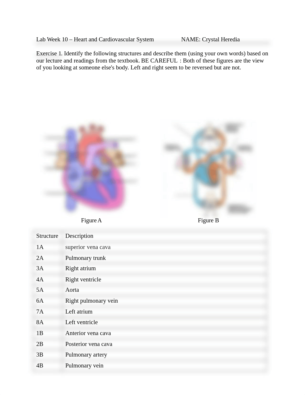 Week 10 Lab.docx_drrzff7t59z_page1