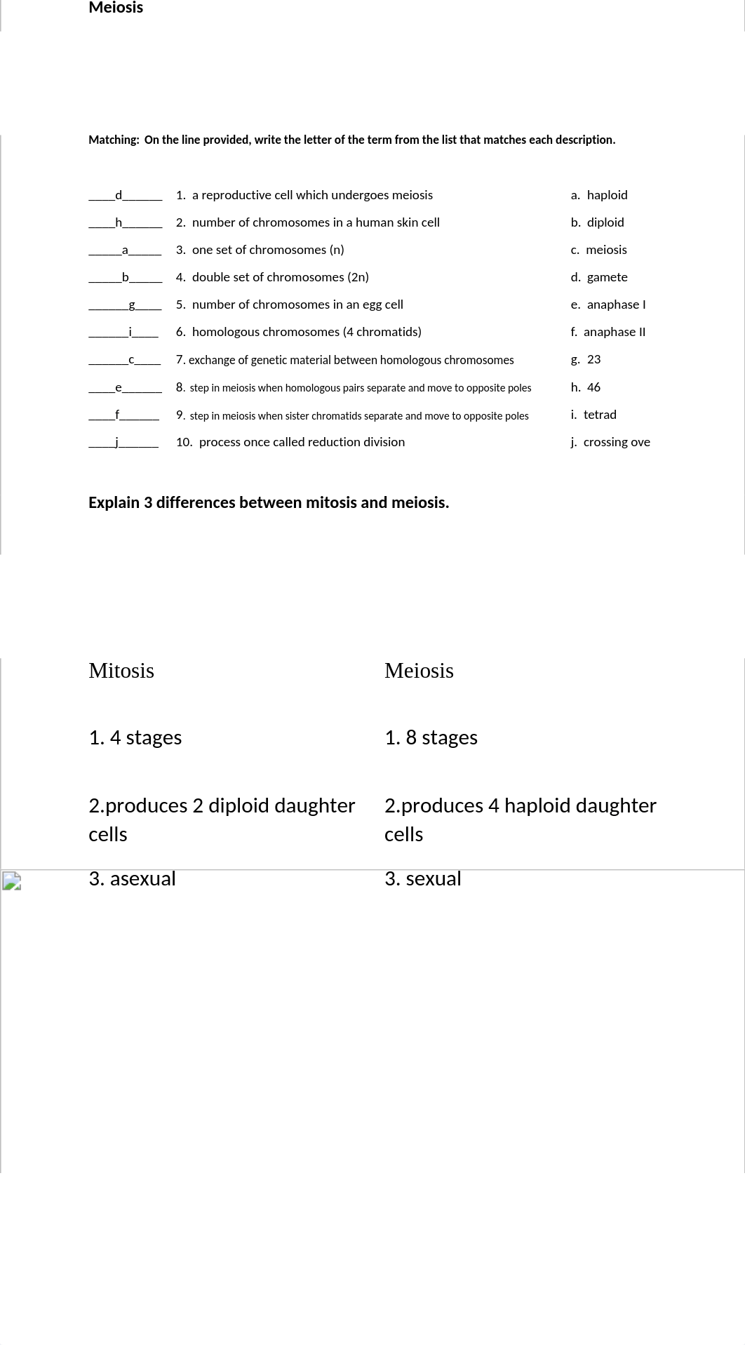 Mitosis and Meiosis Quiz2020.docx_drs288163oz_page3