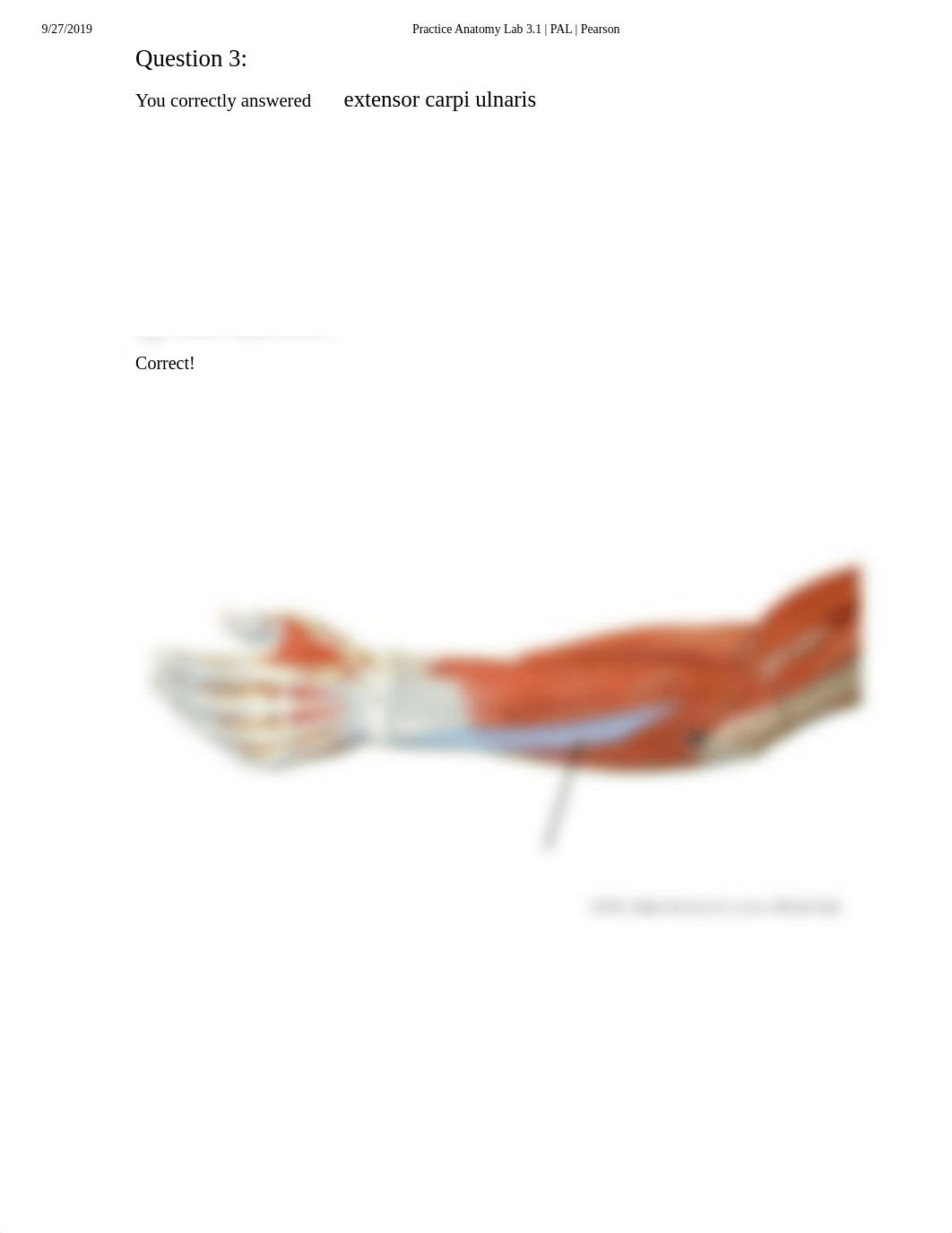 Pal Quiz Upper Limb Anatomical Model .pdf_drs7cte8h50_page4