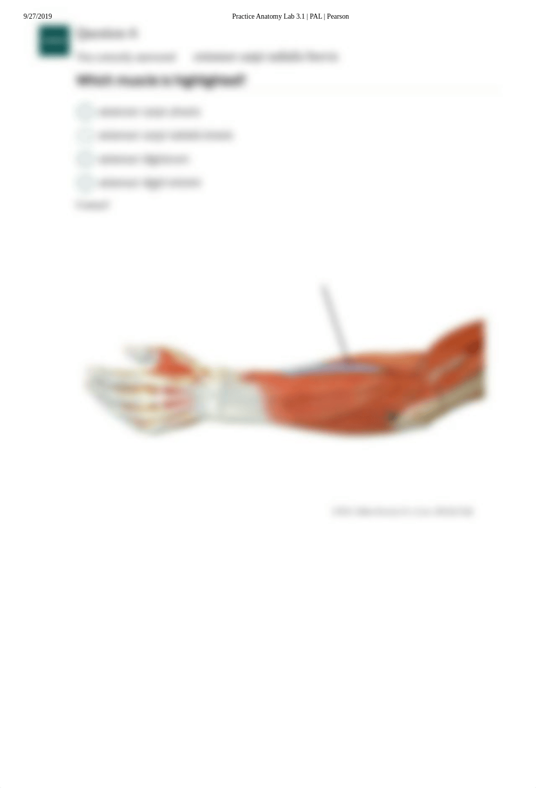 Pal Quiz Upper Limb Anatomical Model .pdf_drs7cte8h50_page5