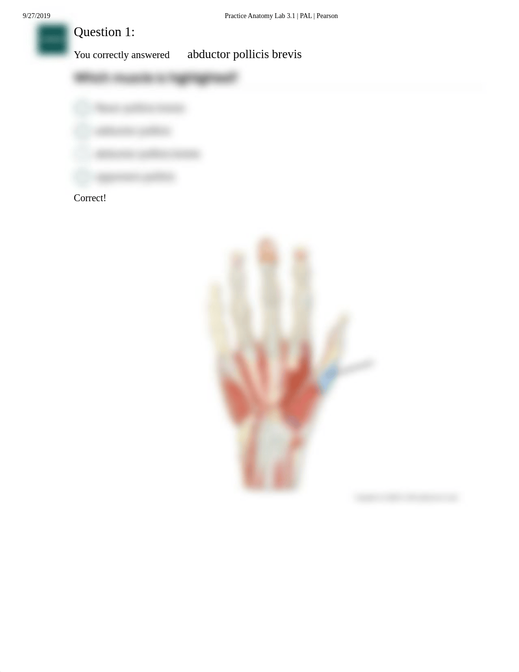 Pal Quiz Upper Limb Anatomical Model .pdf_drs7cte8h50_page2