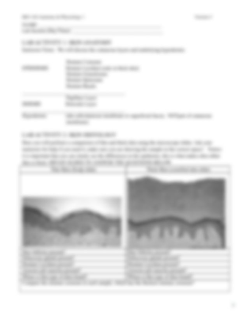 BIO 168 07 Integumentary Version 5.pdf_drsc4reghz2_page4