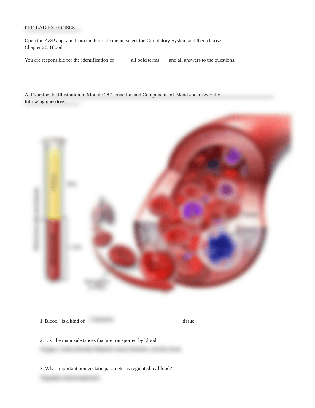 lab manual_blood_a+p.pdf_drscwhi4d3t_page2