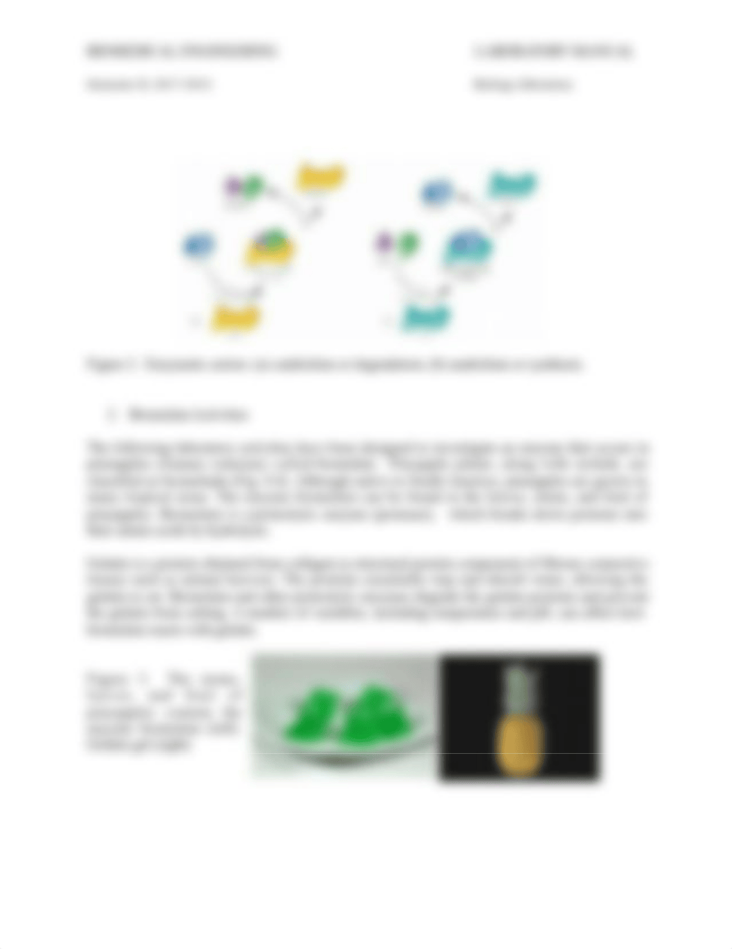 Lab 2 - Enzymes - Understanding How Enzymes Work.docx_drsfk663k01_page3