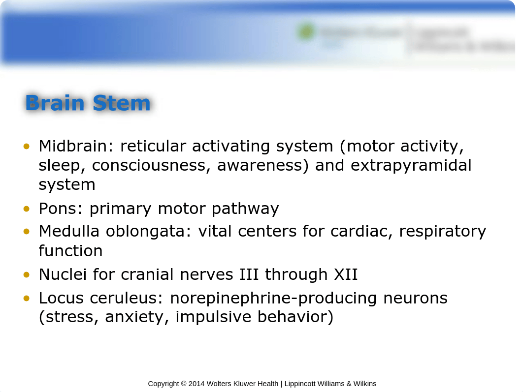 PPT_Chapter_02_drsgcjaw10u_page5